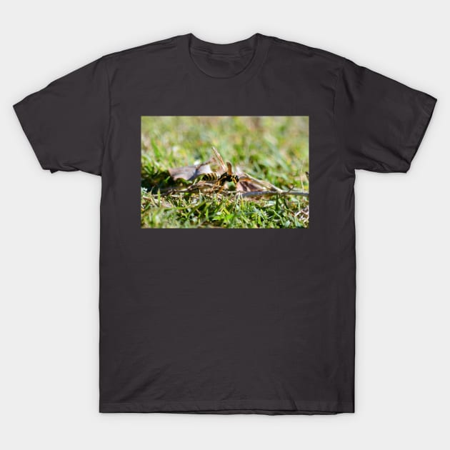 Wasp 1 T-Shirt by ArianeTorelli